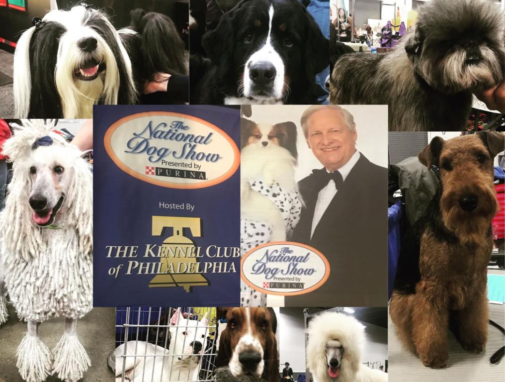 National Dog Show - David Frei