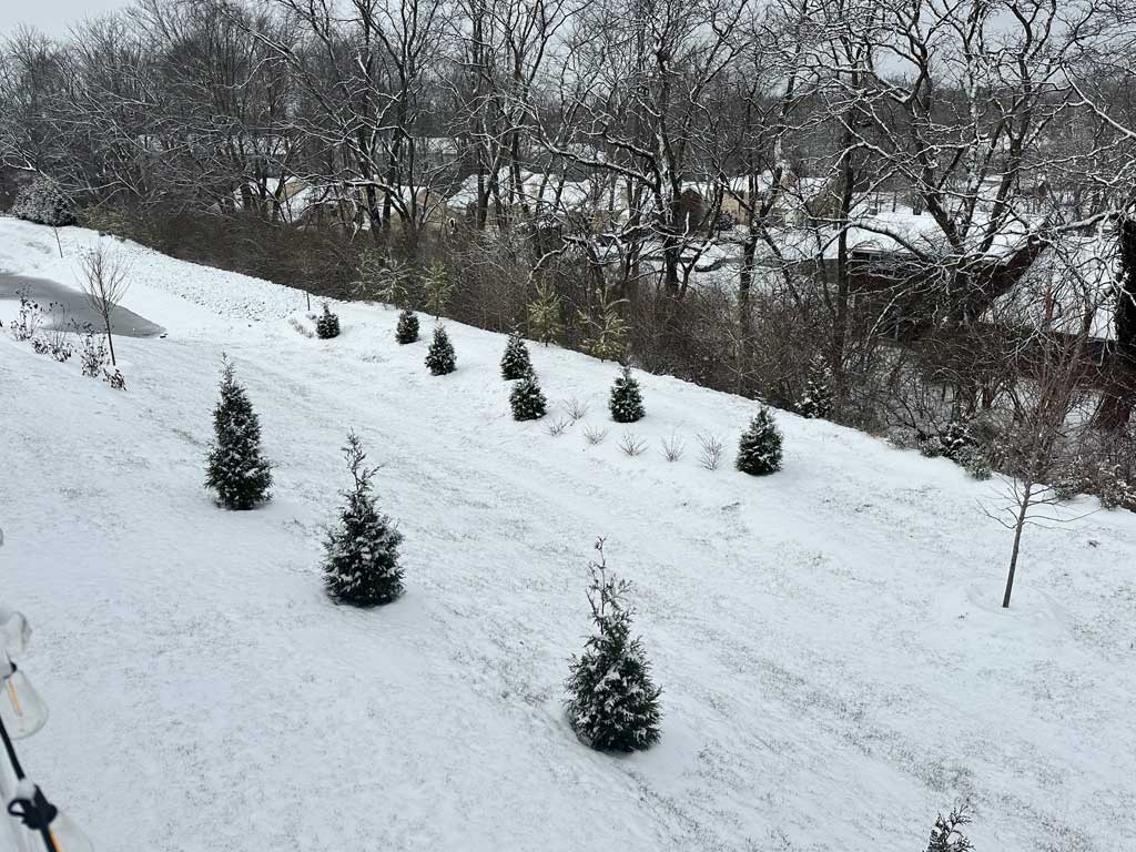 winter snow scene from a winter storm in the Philadelphia suburbs. 