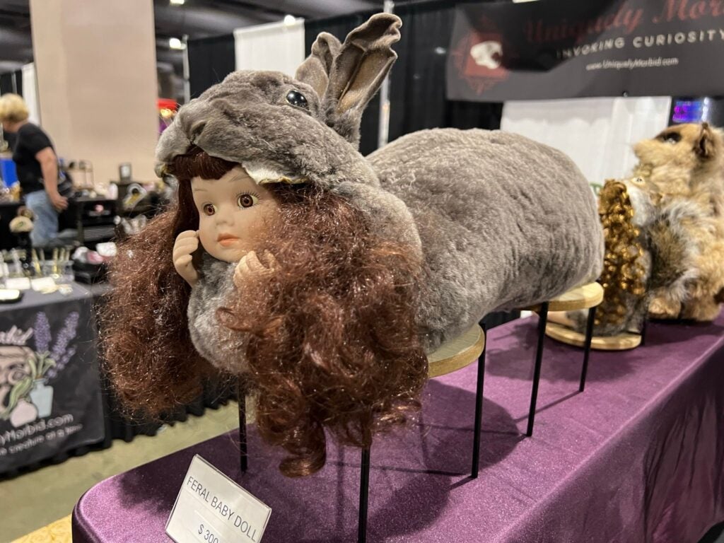 All the Weird Stuff You Missed at the World Oddities Expo