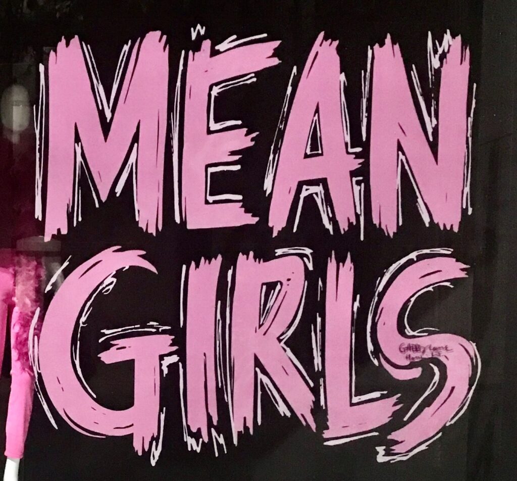 Mean Girls the Musical