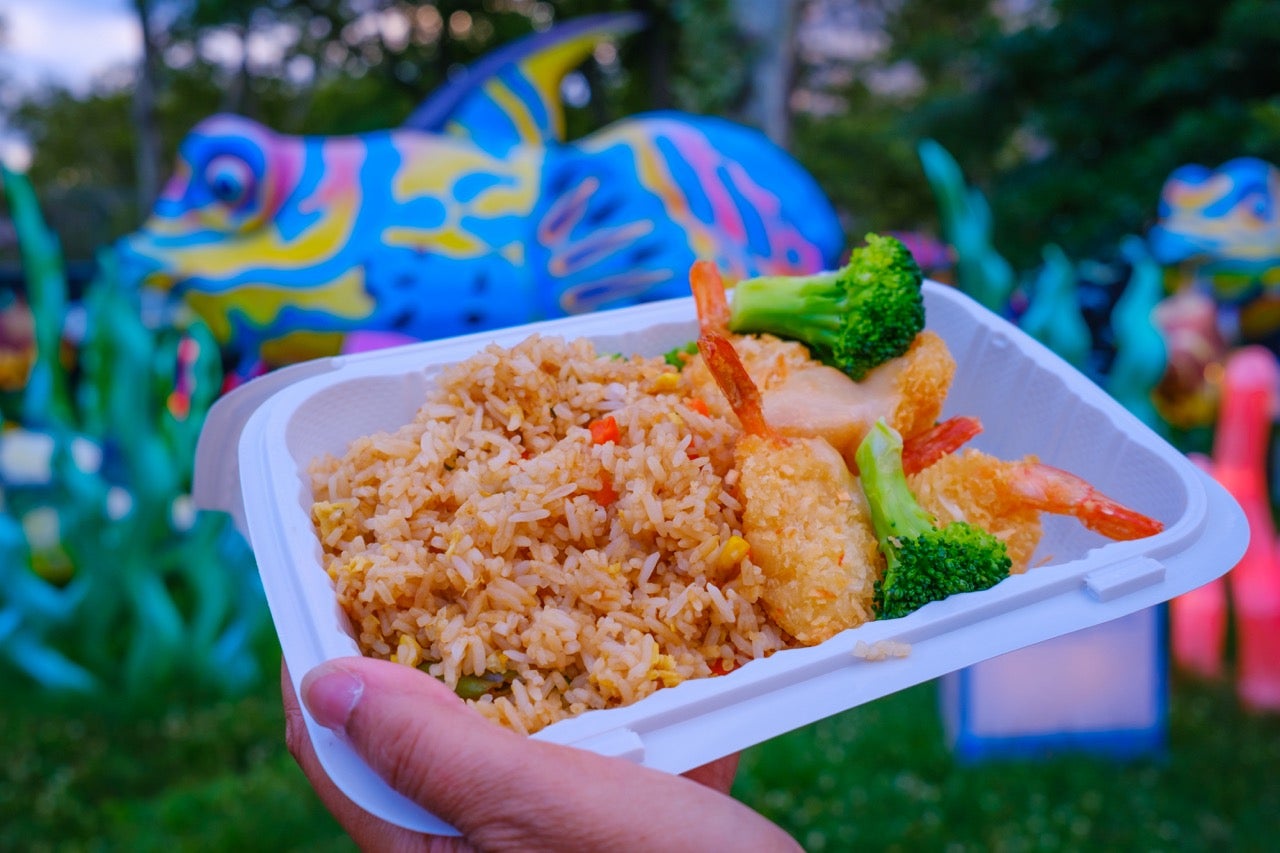 A photo of a hand holding a plate of fried rice, chicken and broccoli, one of the Asian food options at the 2024 Philadelphia Chinese Lantern Festival.