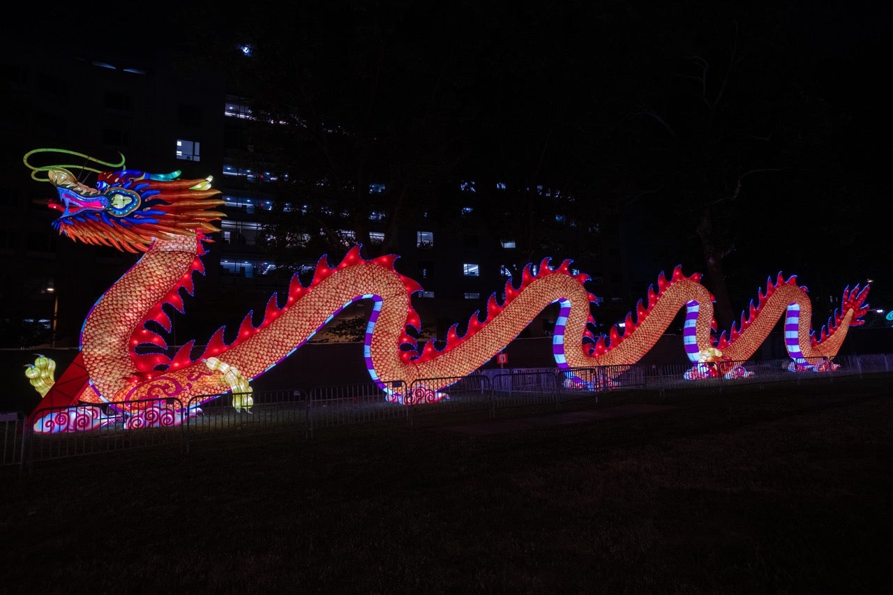 2024 Philadelphia Chinese Lantern Festival giant 200 foot red dragon all lit up in colorful lights.